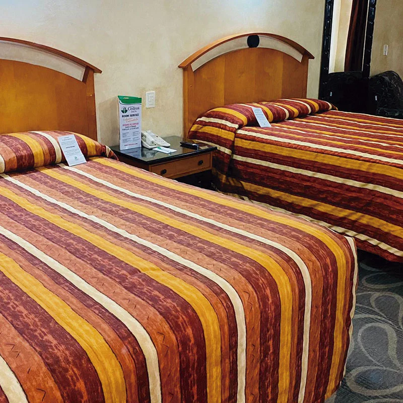 Habitacion Habitación Doble hotel los cedros Torreón